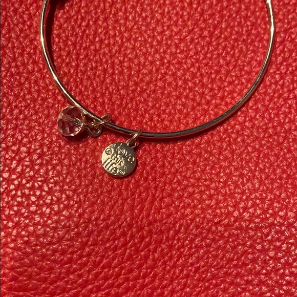 Alex & Ani Love This Life Charm Bracelet - Picture 6 of 7
